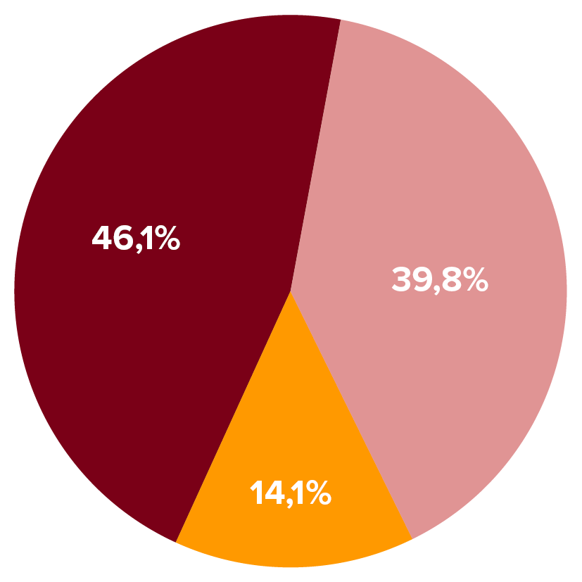 Cirkeldiagram_Hovedgrupper