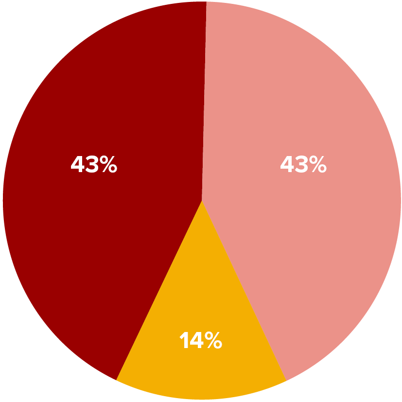 Cirkeldiagram_Hovedgrupper_2024